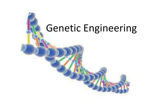 Genetic engineering  2017
