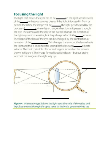 New AQA GCSE Topic 5 - The eye, structure and accommodation