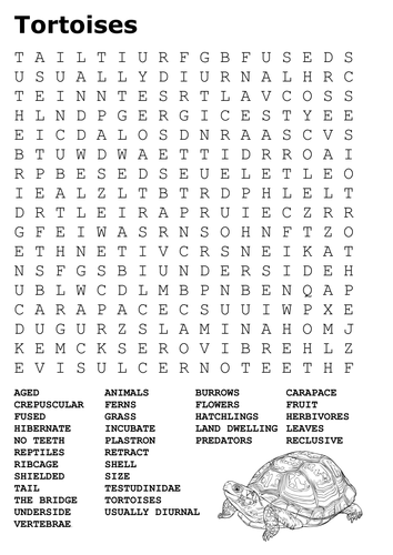 Tortoises Word Search and Picture Pack