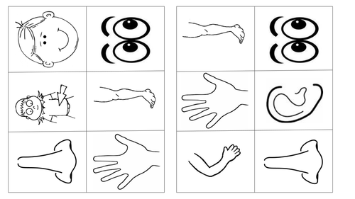 Body Parts Bingo / Bingo El Cuerpo / Bingo Les corps / Bingo rhanau'r corff / EAL Body parts