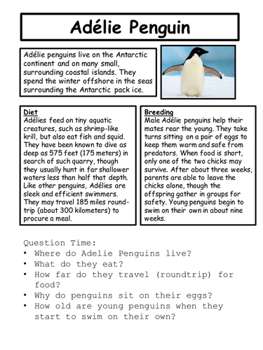 Comprehension Booster - Activity