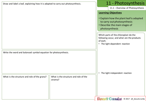 11 - Photosynthesis Revision Sheets - AQA A-Level Biology