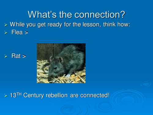 Peasants` revolt role play