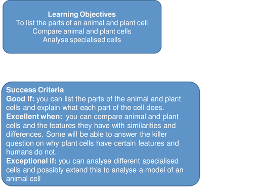 Plant and Animal Cells KS3