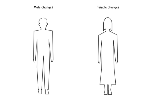 Puberty and the menstrual cycle