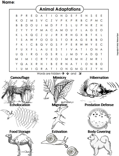 Animal Adaptations Word Search Pdf