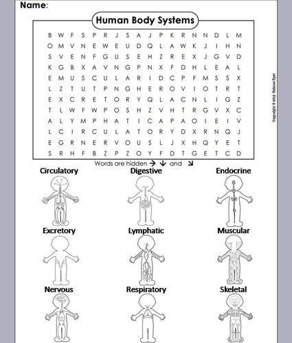 Word system. Human body Wordsearch. Human body Word search Puzzle. Human body Words. Wordsearch Skeleton.