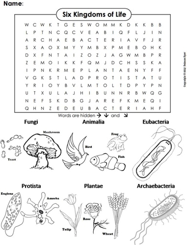 The Six Kingdoms of Life Word Search | Teaching Resources