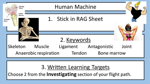 Bone Composition Investigation