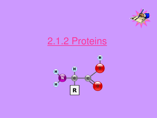 OCR A level Biology 2.1.2 Proteins