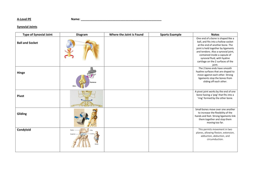 Joints of the Body and Synovial Joints