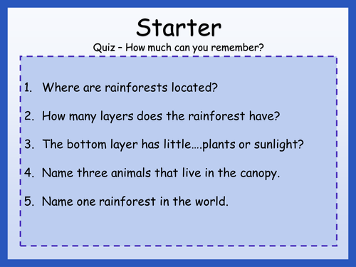 The Rainforest - Plant Adaptions