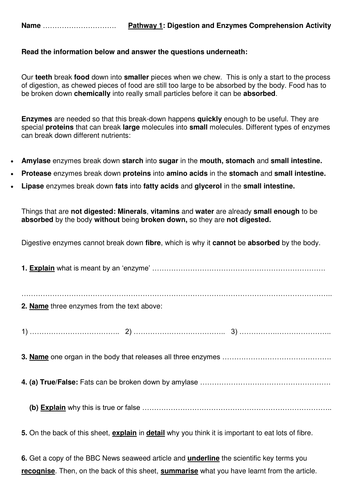 Anization Of The Human Body Worksheet Answers Worksheet List