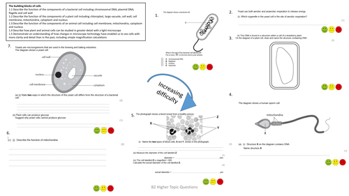 Edexcel B2 Higher Revision Question