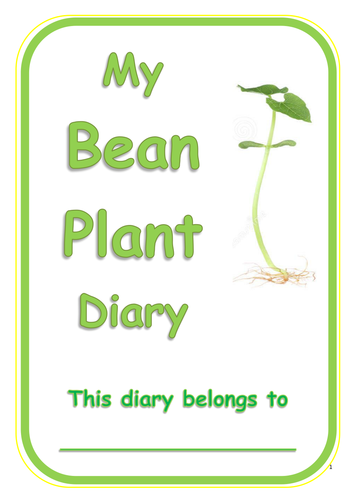 Bean Plant Diary! - Year One