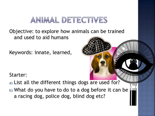 Forensics and crime scenes