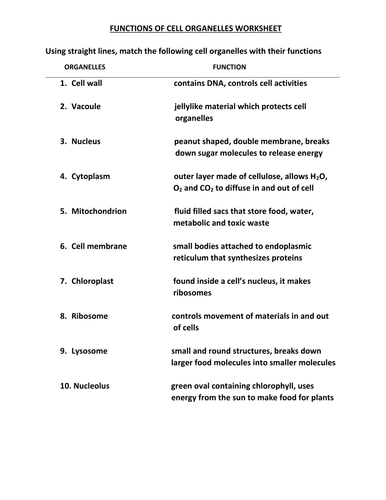 Cell Organelles Worksheet With Answers Teaching Resources