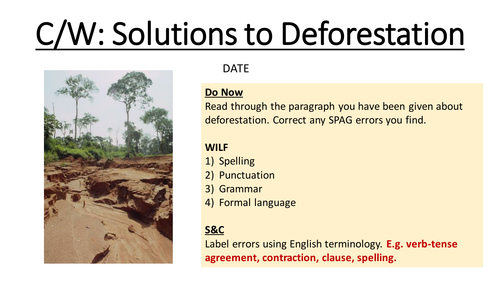 Solutions to Deforestation