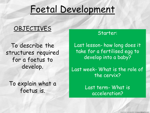 Foetal Development