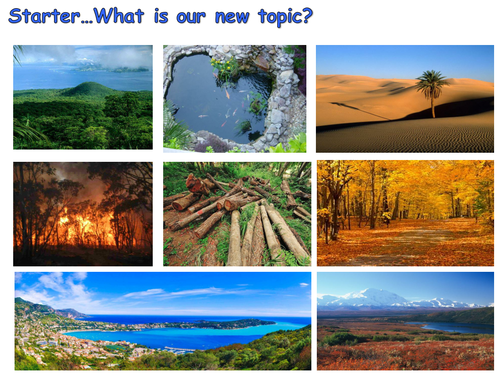 AQA NEW SPEC GCSE: Ecosystems