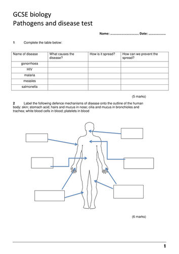 GCSE Biology Pathogens and Disease end-of-topic test and mark scheme NEW specification