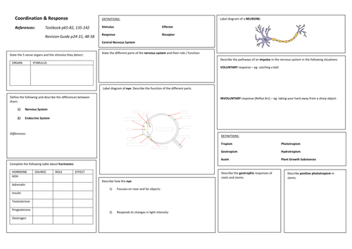 iGCSE Biology COORDINATION & RESPONSE Revision Poster