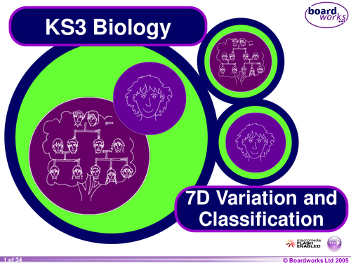 Key Stage 3 Biology  Power Point Resource for Year 7 students on Variation and Classification