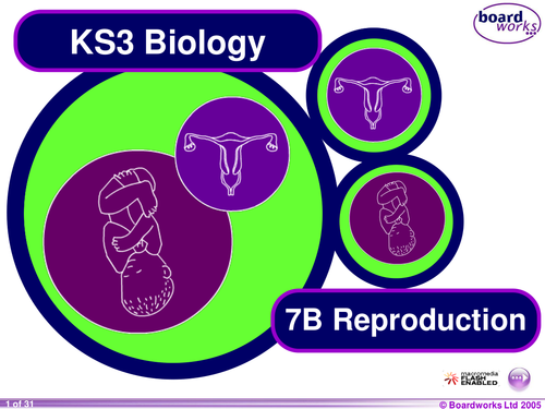Key Stage 3,year 7Power Point resource on Reproduction