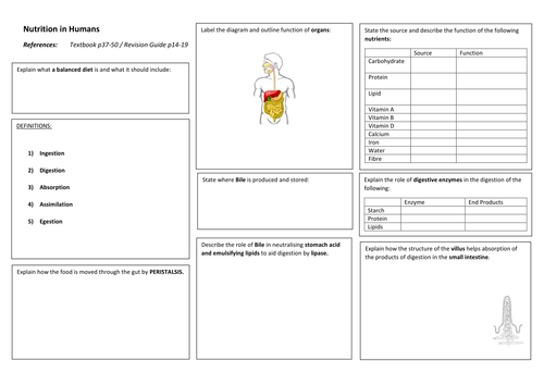 iGCSE Biology NUTRITION IN HUMANS Revision Poster