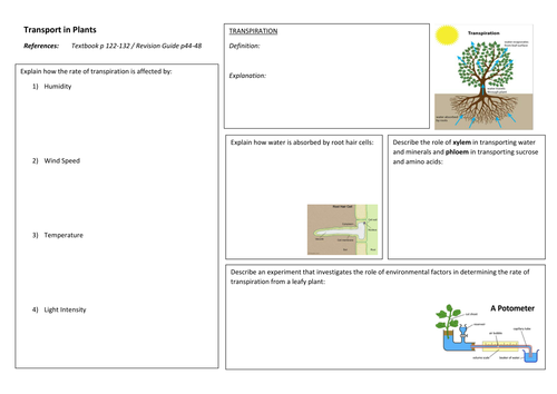 iGCSE Biology TRANSPORT IN PLANTS Revision Poster