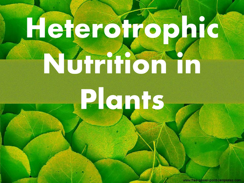 Hetrotrophic nutrition in plants