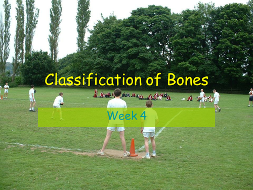 Classification of Bones