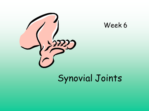 Synovial Joints GCSE PE