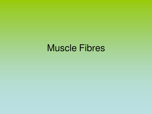 Muscle Fibres