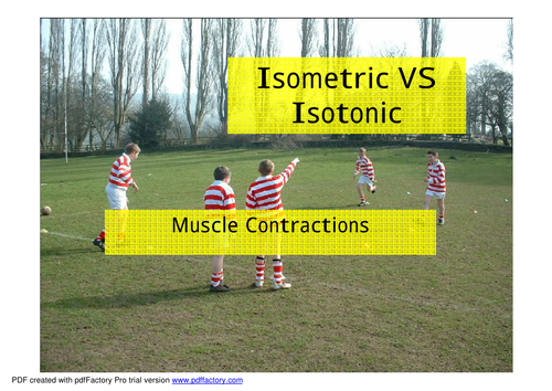 Muscle Contractions Isometric v Isotonic
