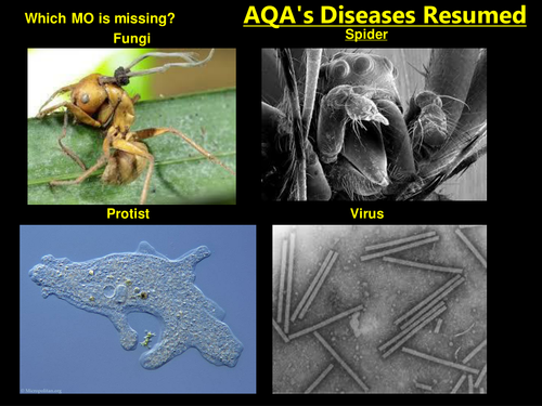 AQA's 7 Diseases