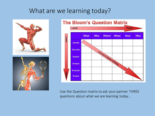 Edexcel GCSE PE (A-C) Muscular System (in full)