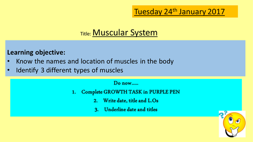 VCERT - Body Systems - Muscular System