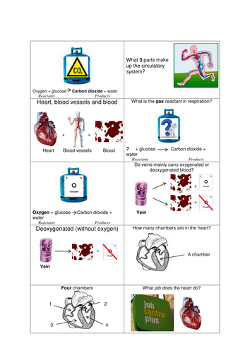 VCERT - Body Systems - Circulatory System