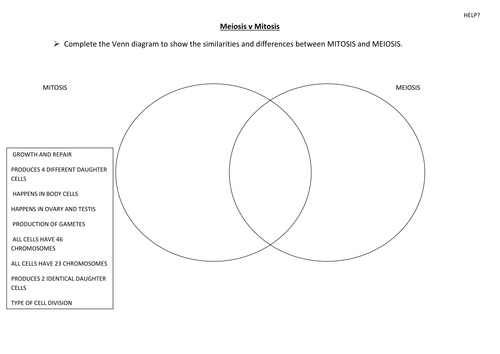 meiosis vs mitosis venn diagram