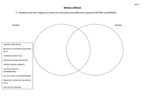 Venn diagram- compare mitosis and meiosis