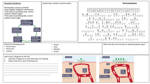 Homeostasis Research Paper