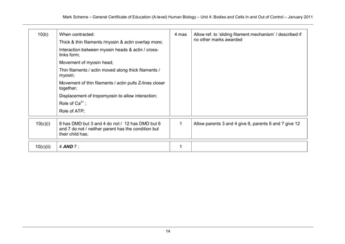 5 levels of gene expression image