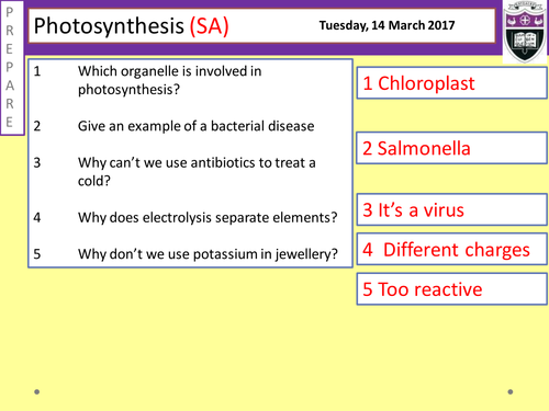 Photosynthesis