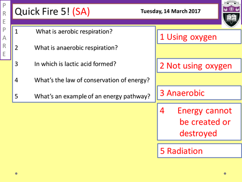 Response to exercise
