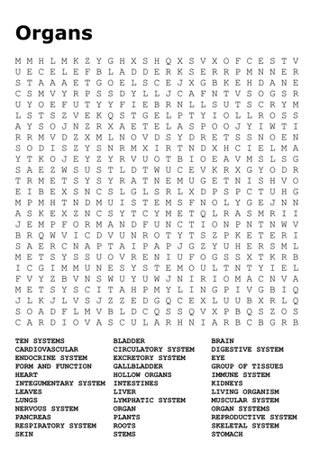 Organs Word Search