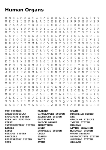 Organs Word Search