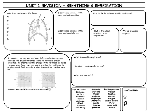 GCSE Breathing & Respiration Revision Mat