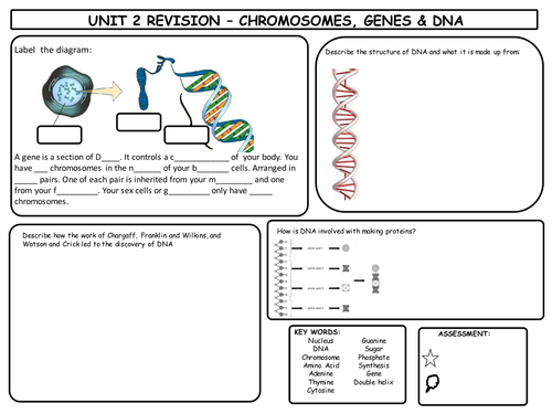 GCSE DNA & Chromosomes Revision Mat