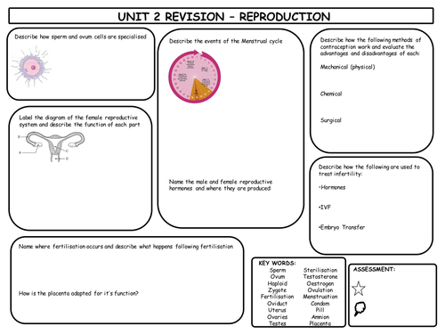 GCSE Reproduction Revision Mat